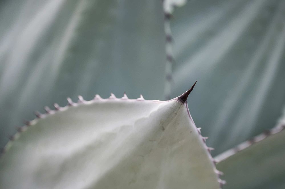 18 Rang 156 Isotton Walter